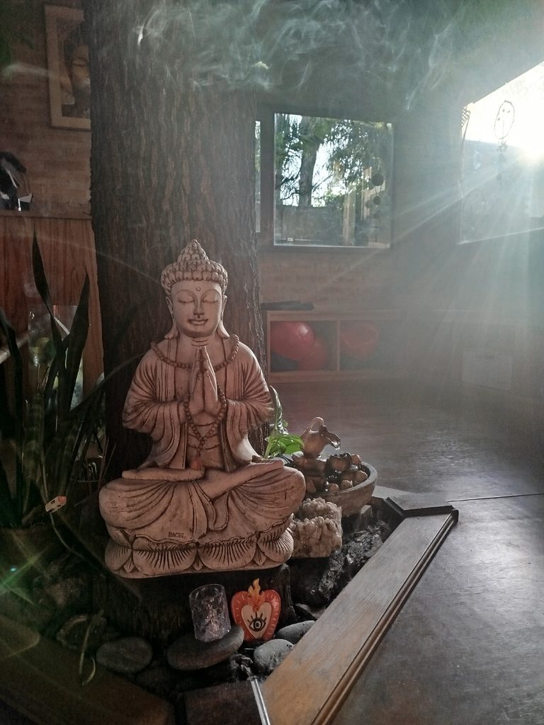 Sobre mi Buda junto al árbol y la entrada de luz natural en Namasté Ashram