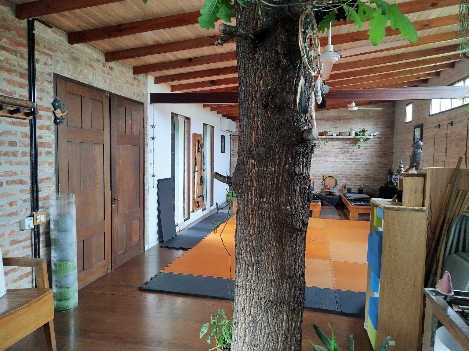 Interior de Namasté Ashram con el roble en el centro
